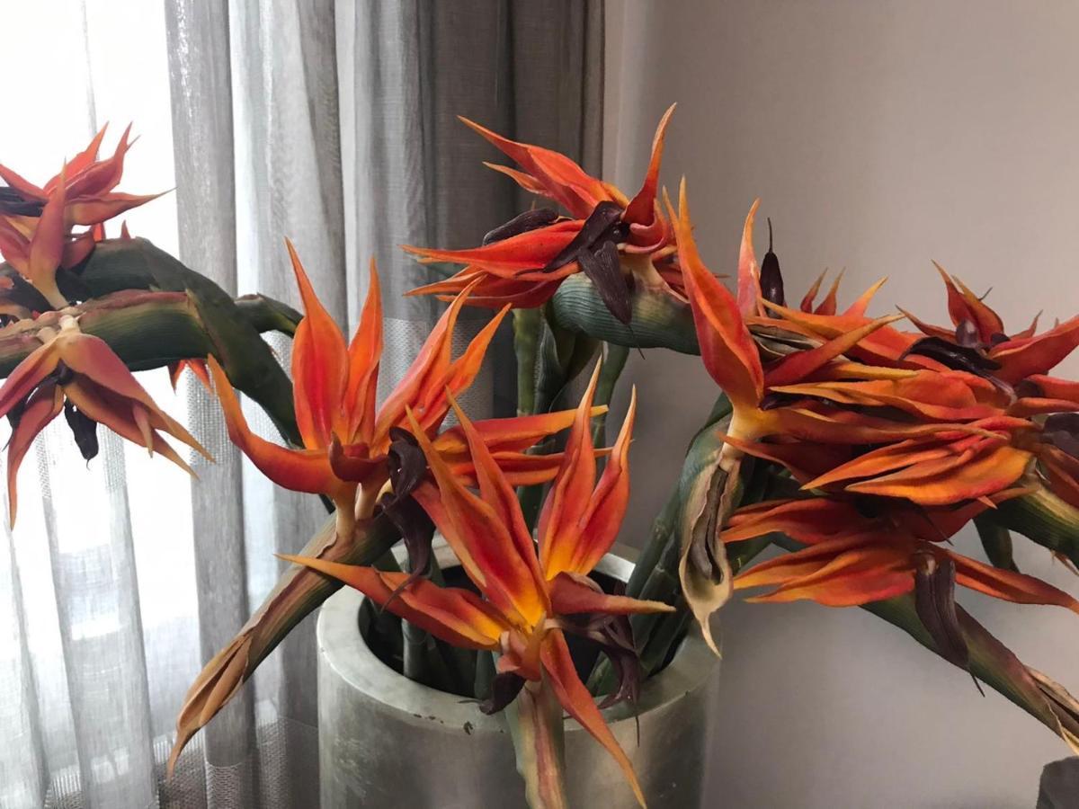 Apartment The Orchid ソフィア エクステリア 写真